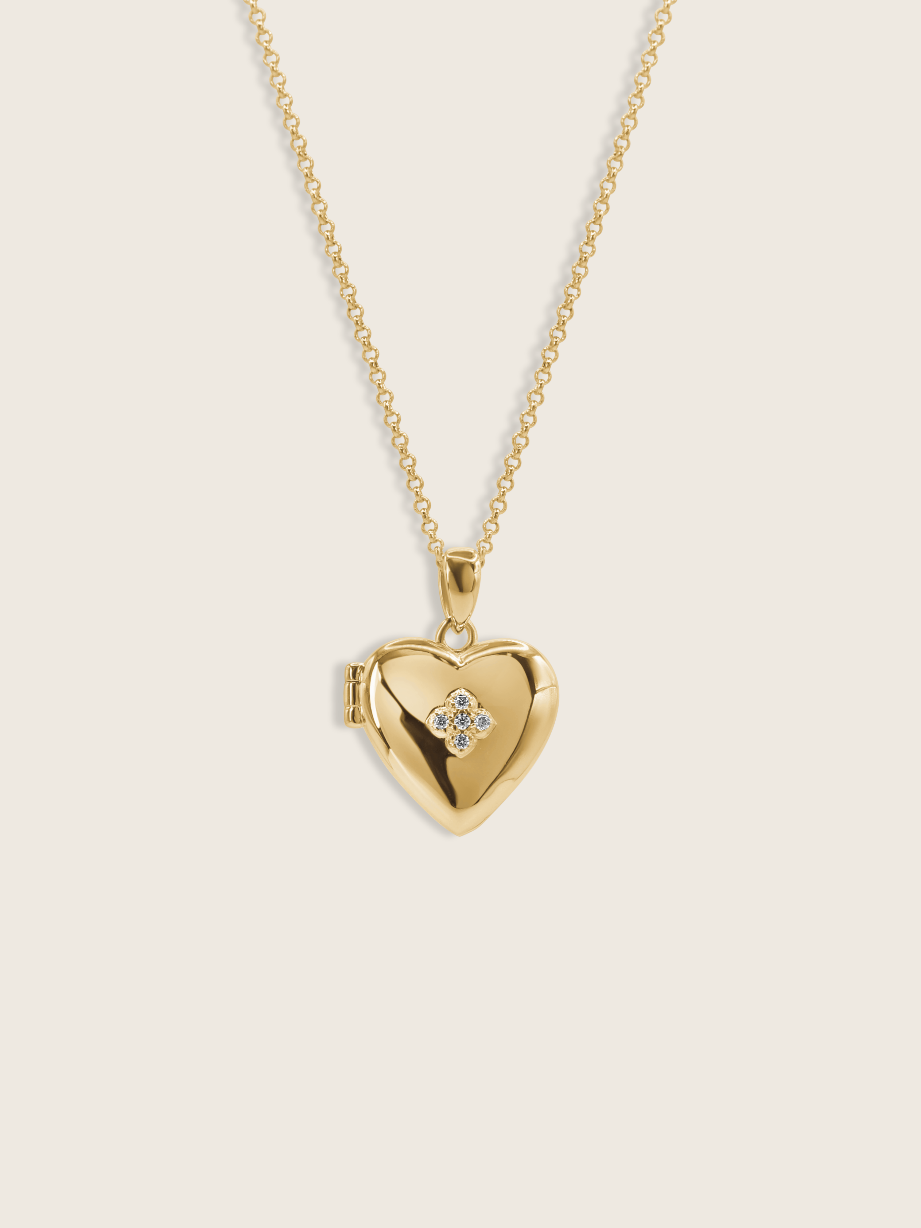 Love Locket Hydrangea Necklace
